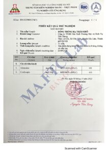 Combo 30 con nhộng đông trùng hạ thảo, an thần, kháng viêm, tiêu viêm 11 Kết quả thử nghiệm sản phẩm đông trùng hạ thảo c3