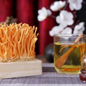 Đông trùng hạ thảo tươi nguyên khối